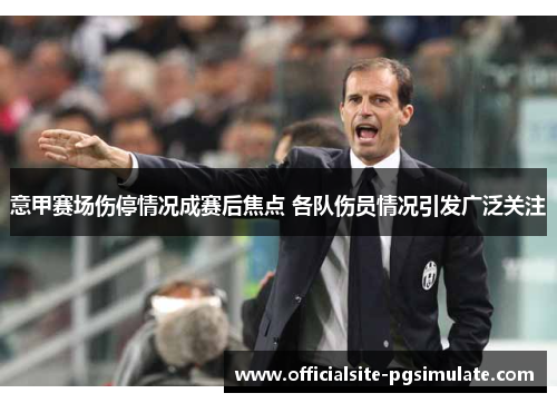 意甲赛场伤停情况成赛后焦点 各队伤员情况引发广泛关注