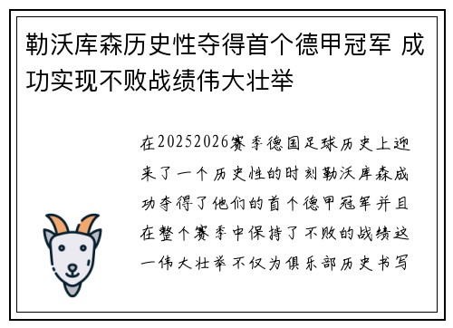 勒沃库森历史性夺得首个德甲冠军 成功实现不败战绩伟大壮举 勒沃库森历史性夺得首个德甲冠军 成功实现不败战绩伟大壮举